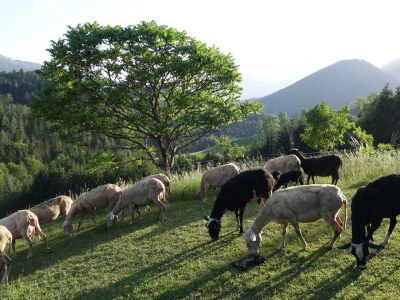 Holiday room Liebesnest - Outdoor photo 6