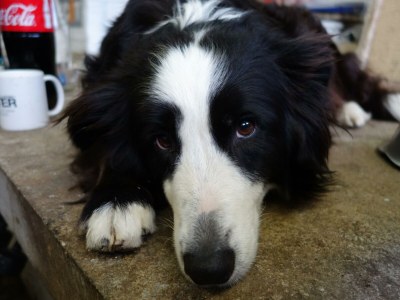 Holiday room Liebesnest - Outdoor photo 7