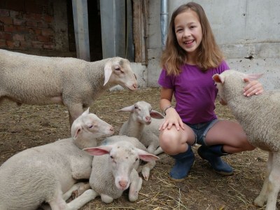 Holiday room Liebesnest - Outdoor photo 10