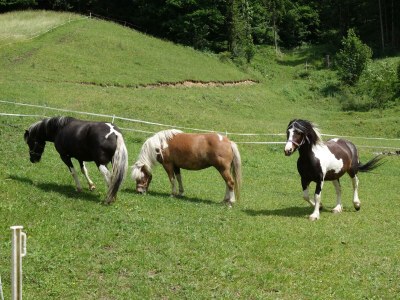 Holiday room Liebesnest - Outdoor photo 21