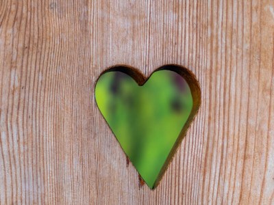 Holiday room Liebesnest - Outdoor photo 33