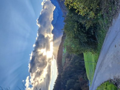 Holiday room Liebesnest - Outdoor photo 50