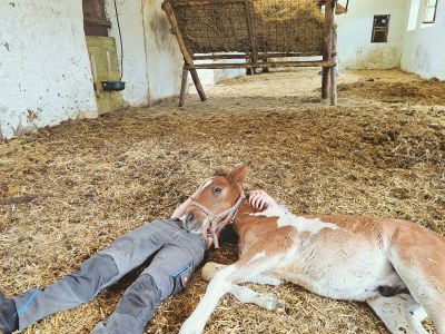 Holiday room Liebesnest - Outdoor photo 53