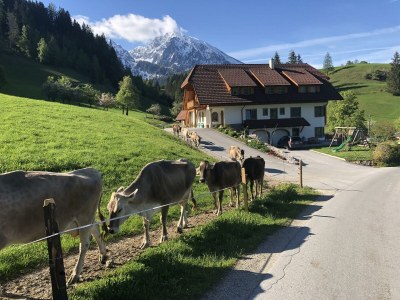 Apartment Ferienwohnung ARENA - 160qm in Spital am Pyhrn - Apartment