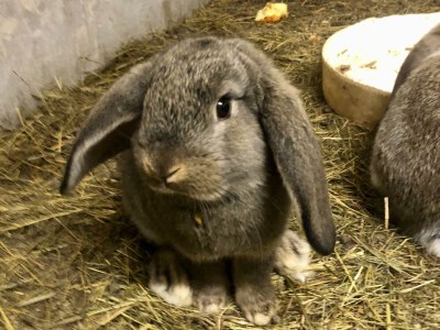 Apartment Ferienwohnung ARENA - 160qm - Outdoor photo 19