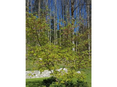 Apartment Ferienhaus, Dusche, WC, 3 Schlafräume - Outdoor photo 5