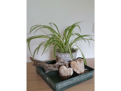 Apartment Ferienhaus, Dusche, WC, 3 Schlafräume - Outdoor photo 12