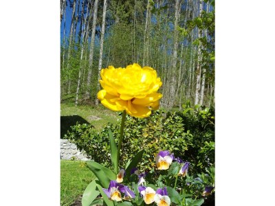 Apartment Ferienhaus, Dusche, WC, 3 Schlafräume - Outdoor photo 19