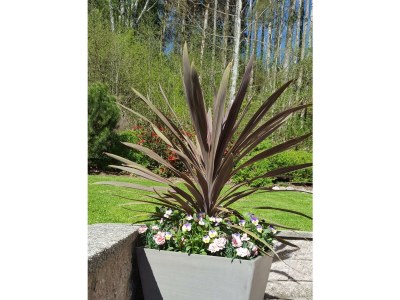 Apartment Ferienhaus, Dusche, WC, 3 Schlafräume - Outdoor photo 21