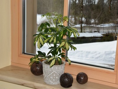 Apartment Ferienhaus, Dusche, WC, 3 Schlafräume - Features photo 27