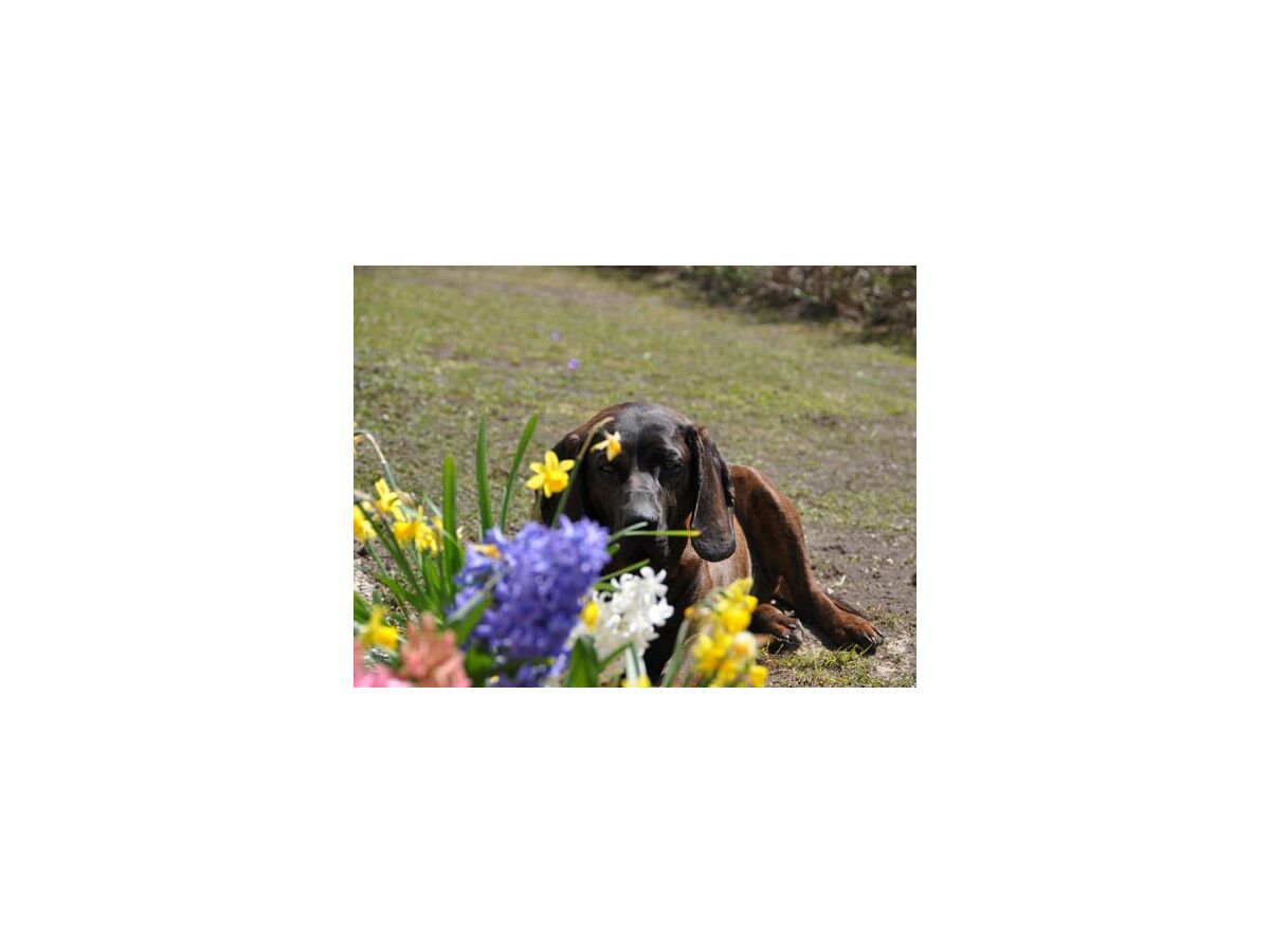 Holiday room "Kräuterzimmer" - Outdoor photo 5