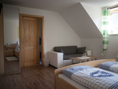 Holiday room "Pyhrgasblick"-Zimmer - Features photo 8