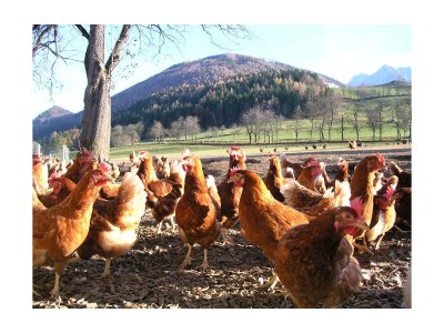 Apartment Apartment "Sommerregen"/2 Schlafräume/Dusche/WC - Outdoor photo 3