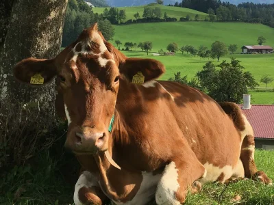 Apartment Apartment "Mondschein"/2 Schlafräume/Dusche/WC - Outdoor photo 18