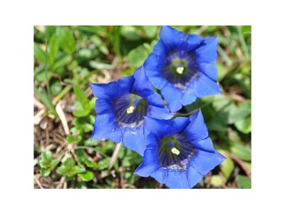 Apartment Fewo Bauernstubn - Outdoor photo 8