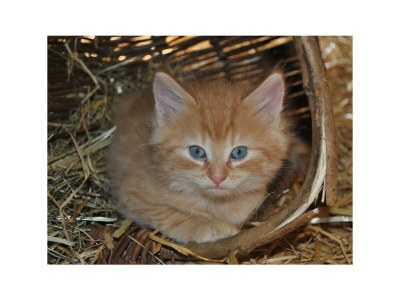 Apartment Fewo Bauernstubn - Outdoor photo 10