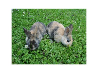 Apartment Fewo Bauernstubn - Outdoor photo 11