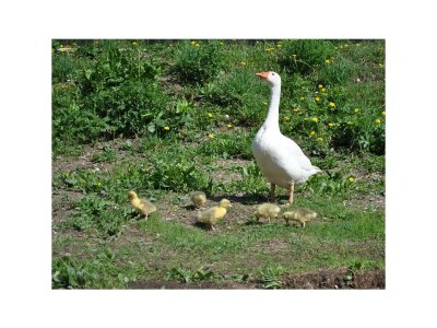 Apartment Fewo Bauernstubn - Outdoor photo 18