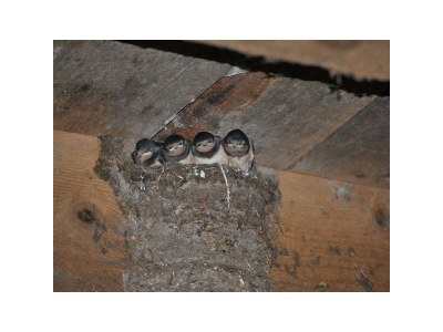 Apartment Fewo Bauernstubn - Outdoor photo 20