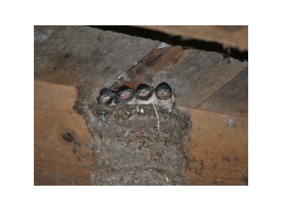 Apartment Fewo "Stubn" - Outdoor photo 8