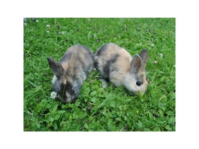 Apartment Fewo "Stubn" - Outdoor photo 9