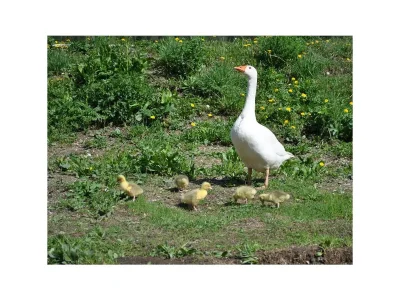 Apartment Fewo "Stubn" - Outdoor photo 11