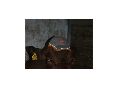 Apartment Fewo "Stubn" - Outdoor photo 14