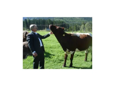 Apartment Fewo "Stubn" - Outdoor photo 19