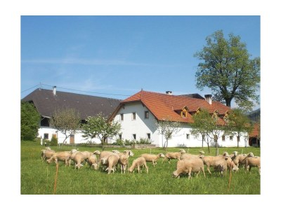 Apartment XXL Ferienwohnung - Outdoor photo 18