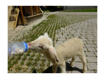 Apartment XXL Ferienwohnung - Outdoor photo 19