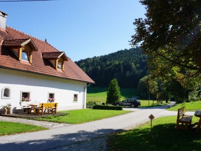 Apartment XL Ferienwohnung in Roßleithen - Apartment