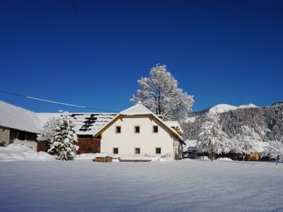 Apartment XL Ferienwohnung - Outdoor photo 23
