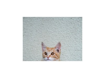 Apartment Bergwelten, 2 Schlafräume, Dusche, WC - Outdoor photo 11