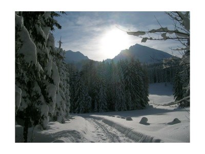 Apartment Bergwelten, 2 Schlafräume, Dusche, WC - Outdoor photo 18