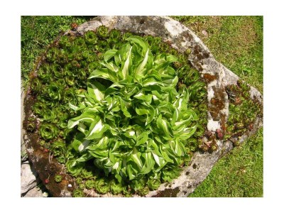 Apartment Bachmelodie/2 Schlafräume/Dusche, WC - Outdoor photo 14