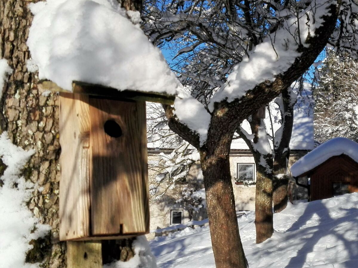 Apartment Ferienhaus, WC und Badez. getrennt, 2 Schlafräume - Outdoor photo 3