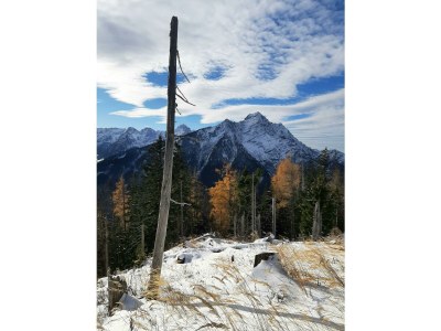 Apartment Ferienhaus, WC und Badez. getrennt, 2 Schlafräume in Sankt Pankraz - Apartment