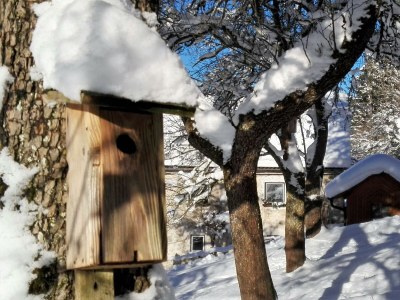 Apartment Ferienhaus, WC und Badez. getrennt, 2 Schlafräume - Outdoor photo 3