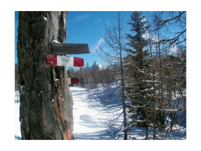 Apartment Ferienhaus, WC und Badez. getrennt, 2 Schlafräume - Outdoor photo 5