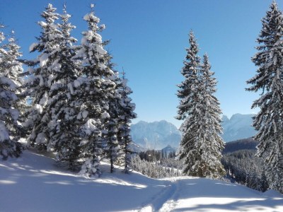 Apartment Ferienhaus, WC und Badez. getrennt, 2 Schlafräume - Outdoor photo 9