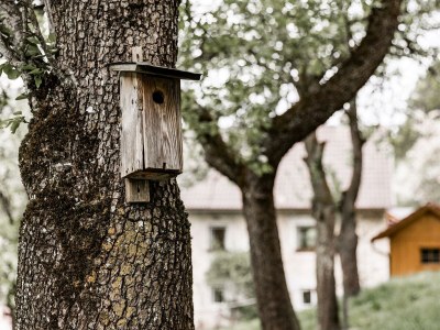 Apartment Ferienhaus, WC und Badez. getrennt, 2 Schlafräume - Outdoor photo 13
