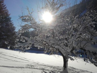 Apartment Ferienhaus, WC und Badez. getrennt, 2 Schlafräume - Outdoor photo 25