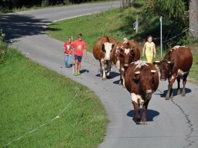Apartment Almhütte B - Outdoor photo 10