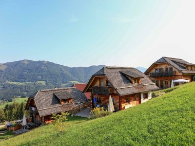 Apartment Almhütte A - Features photo 20