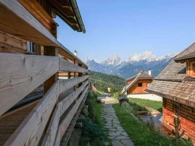 Apartment Almhütte D - Outdoor photo 7