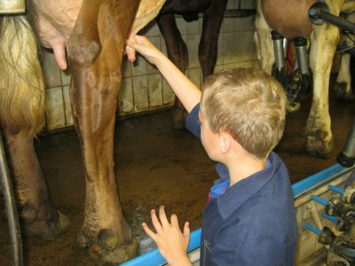 Apartment Apartment/2 Schlafräume/Dusche, WC - Outdoor photo 11