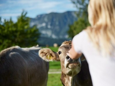 Apartment Apartment/2 Schlafräume/Dusche, WC - Outdoor photo 17