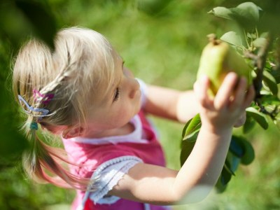 Apartment Apartment/2 Schlafräume/Dusche, WC - Outdoor photo 20