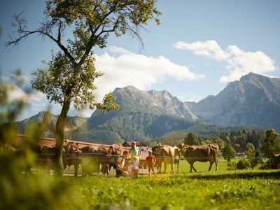 Apartment Apartment/2 Schlafräume/Dusche, WC - Outdoor photo 25