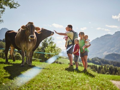 Apartment Apartment/2 Schlafräume/Dusche, WC - Outdoor photo 26